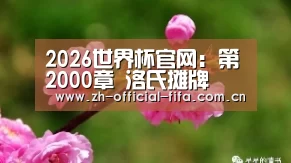 2026世界杯官网