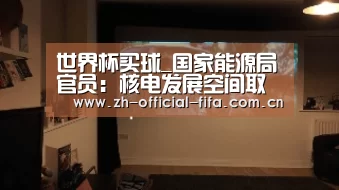 世界杯买球_国家能源局官员:核电发展空间取决于其经济竞争力(图4) 2026世界杯