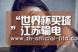 “世界杯买球”江苏输电线路长度突破10万公里(图2) 2026世界杯官网