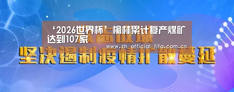‘2026世界杯’榆林累计复产煤矿达到107家(图2) 世界杯买球