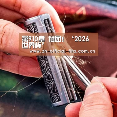 第910章 谜团!‘2026世界杯’(图1) 2026世界杯官网