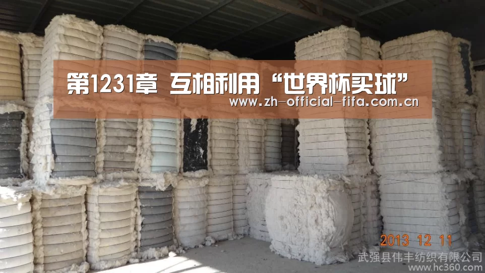 第1231章 互相利用“世界杯买球”(图1) 2026世界杯